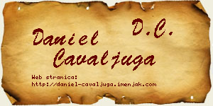 Daniel Čavaljuga vizit kartica